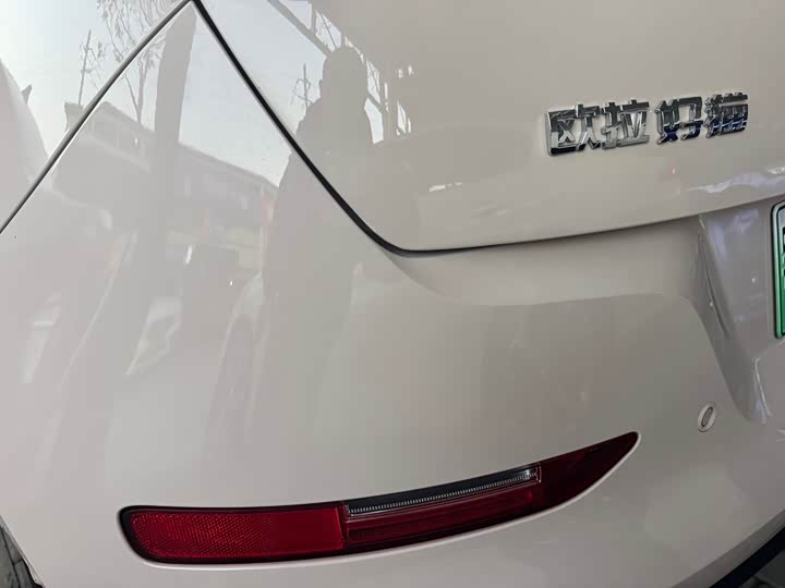 Фото 6 - Ora Good Cat (03)