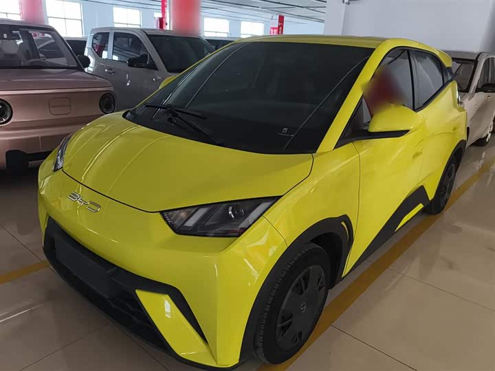 Фото 1 - BYD Seagull