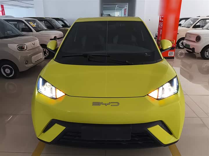 Фото 3 - BYD Seagull