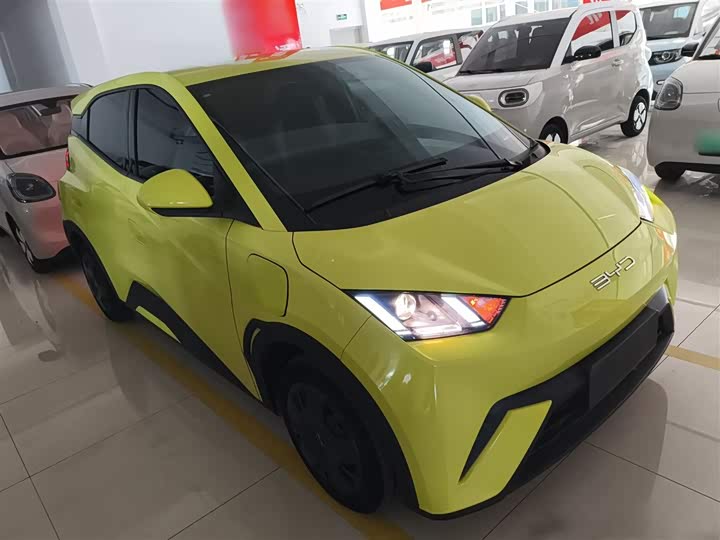 Фото 4 - BYD Seagull