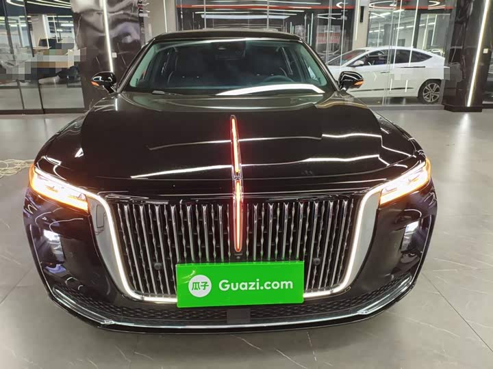 Фото 3 - Hongqi H9