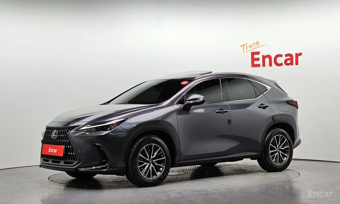 Фото 1 - Lexus NX