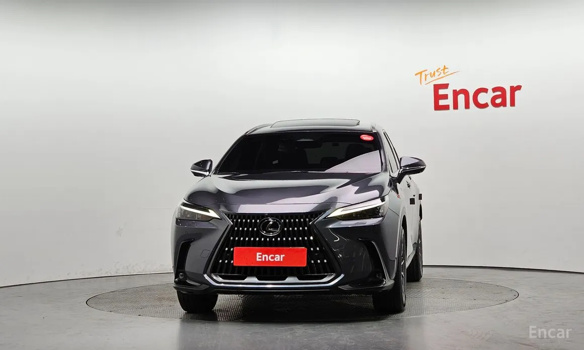 Фото 3 - Lexus NX