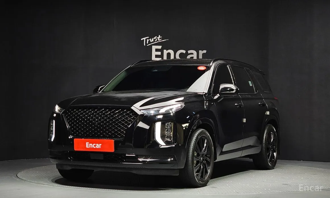 صورة 1 - Hyundai Palisade