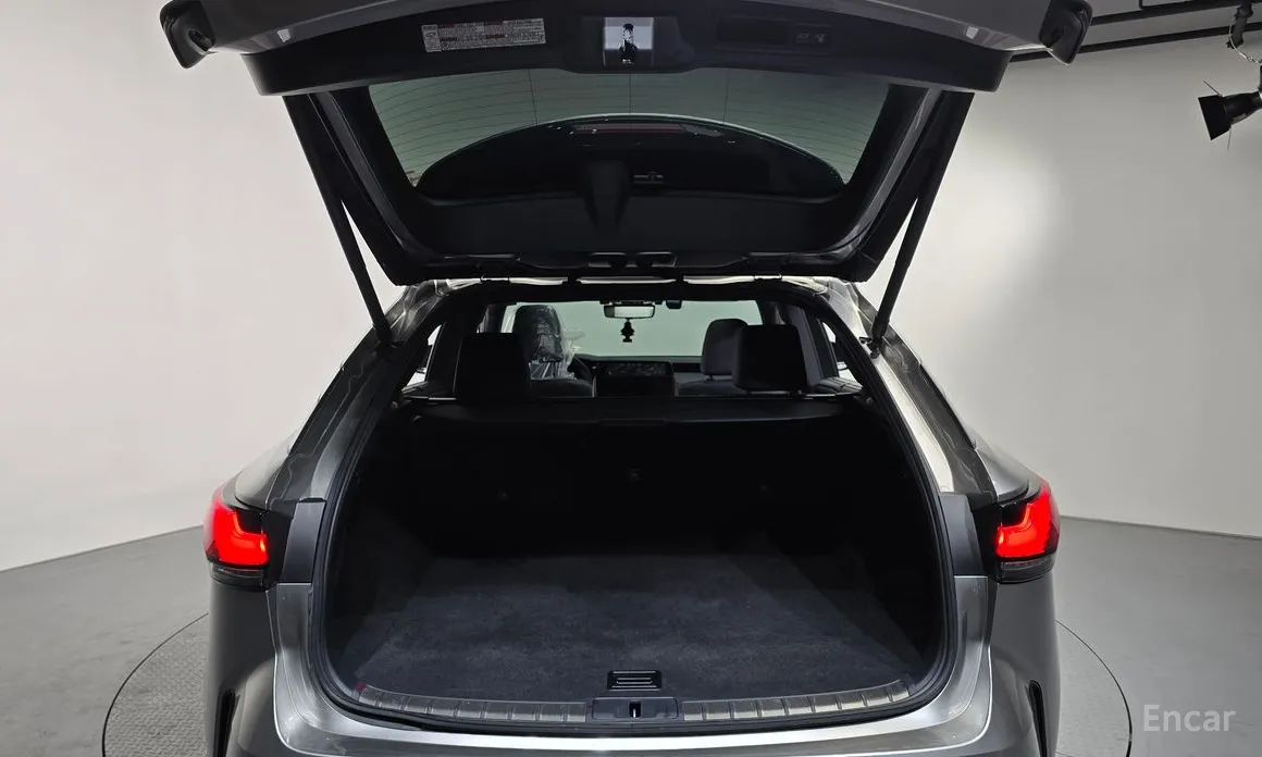 Фото 20 - Lexus RX