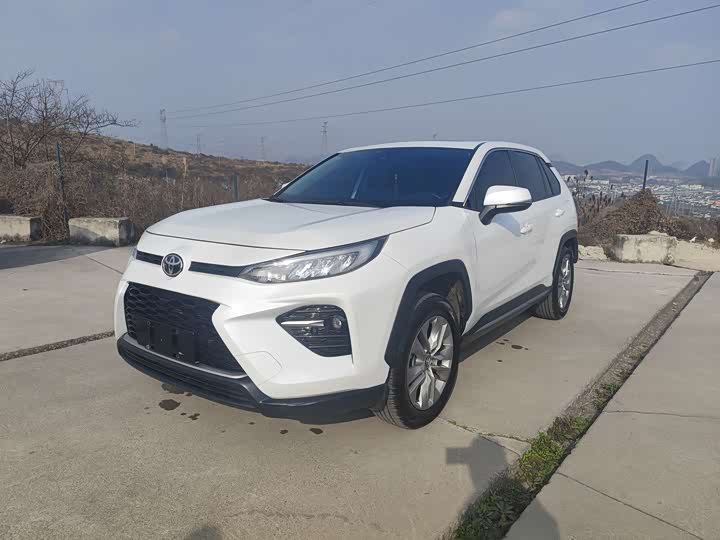 Фото 1 - Toyota Wildlander