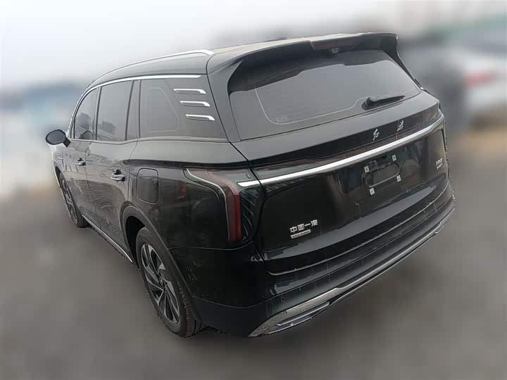 Фото 9 - Hongqi HS7 Hybrid