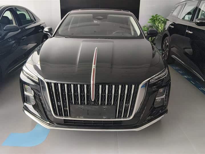 Фото 2 - Hongqi H5