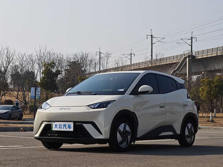 Фото 1 - BYD Seagull