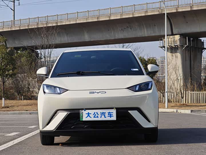 Фото 2 - BYD Seagull