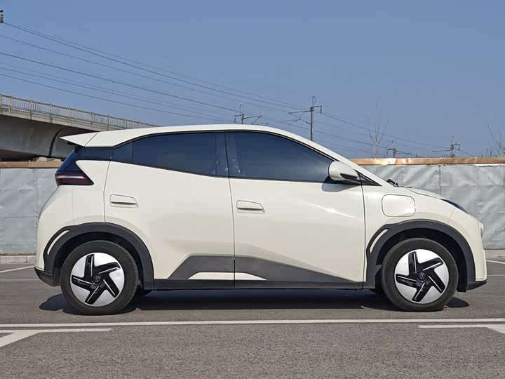 Фото 4 - BYD Seagull