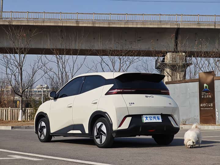 Фото 7 - BYD Seagull