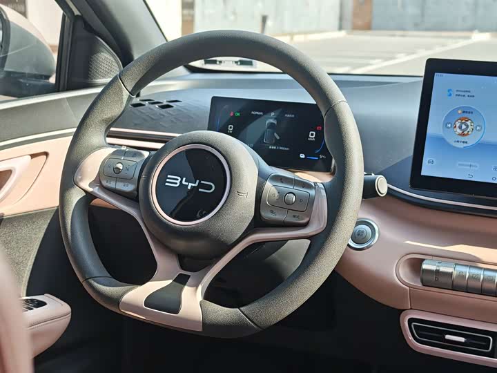 Фото 9 - BYD Seagull