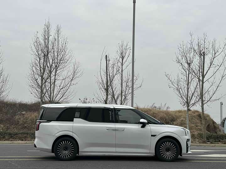 Фото 7 - Zeekr 009