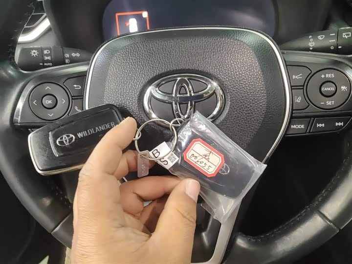 Фото 9 - Toyota Wildlander