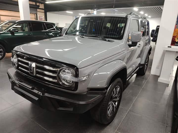 Фото 2 - Tank 300