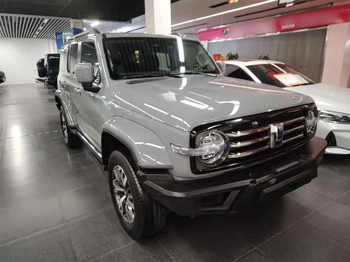 Фото 4 - Tank 300