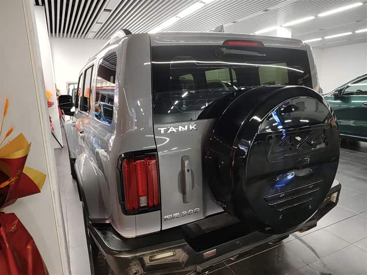 Фото 5 - Tank 300