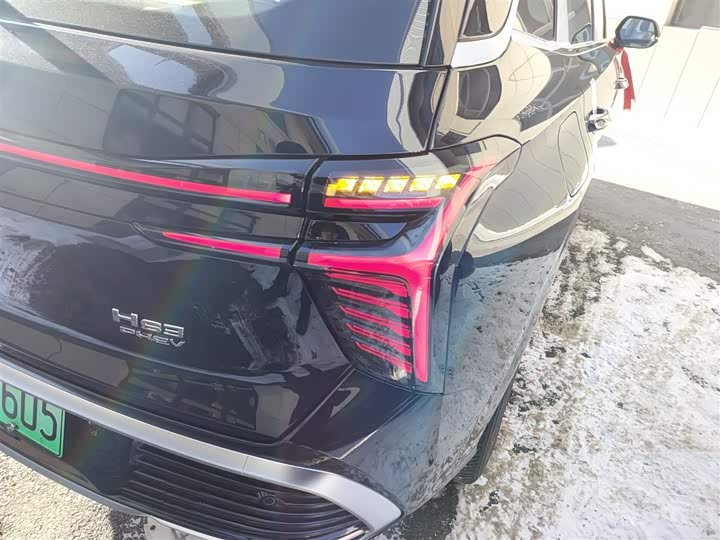 Фото 8 - Hongqi HS3 Hybrid