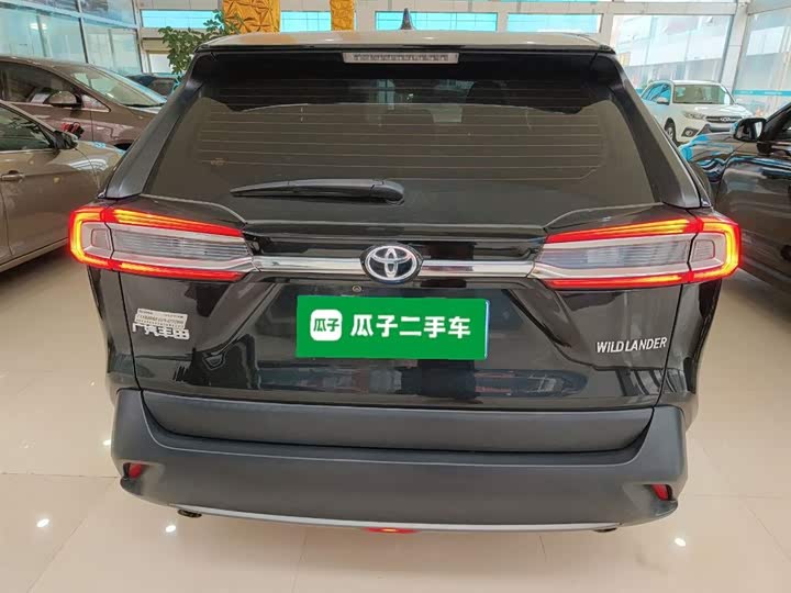 Фото 6 - Toyota Wildlander