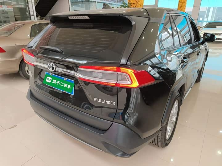 Фото 7 - Toyota Wildlander