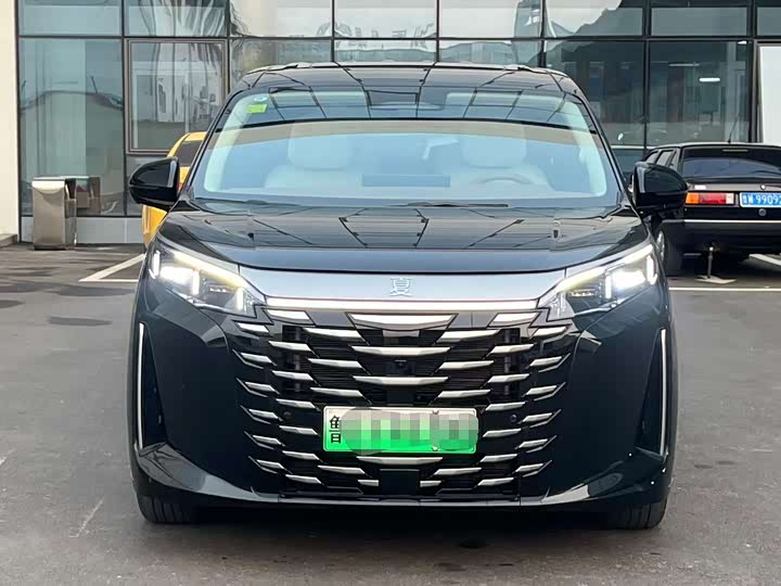 Фото 2 - BYD Xia