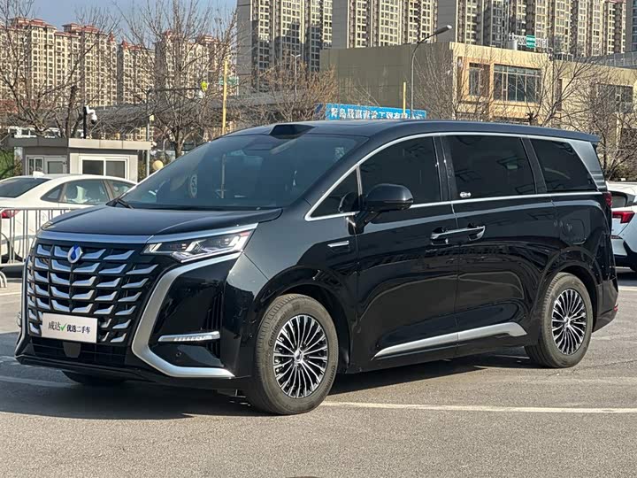 Фото 1 - Denza D9