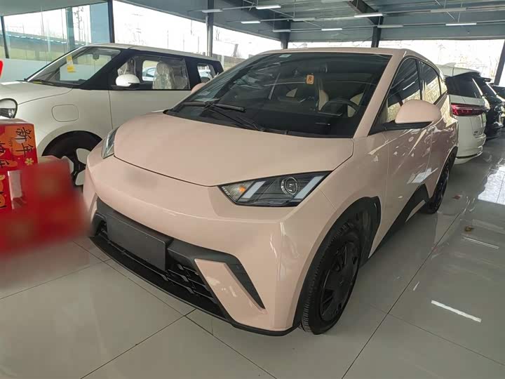 Фото 2 - BYD Seagull