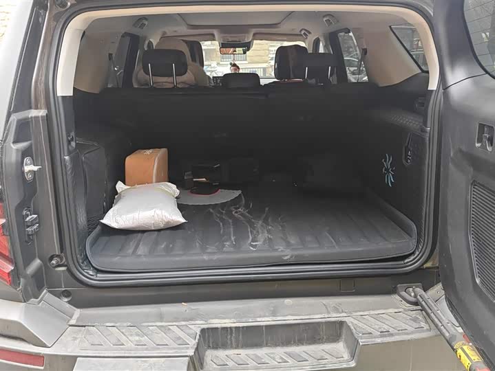 Фото 4 - Tank 400 Hybrid