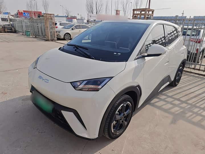 Фото 2 - BYD Seagull