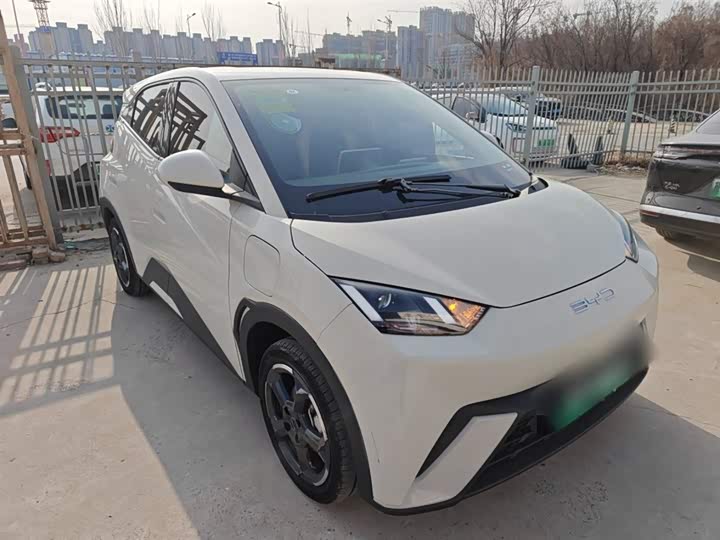 Фото 4 - BYD Seagull