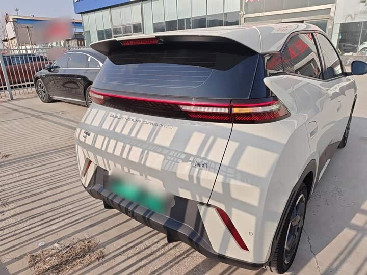 Фото 6 - BYD Seagull