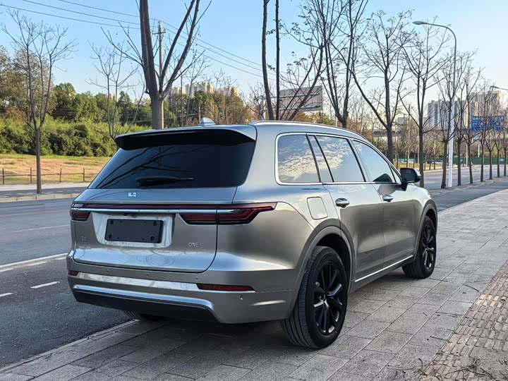 Фото 4 - LiXiang One