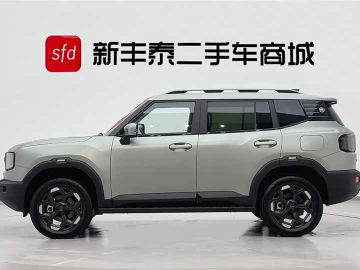 Фото 4 - Jetour Freedom