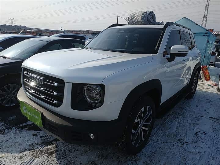 Фото 2 - Haval Dargo