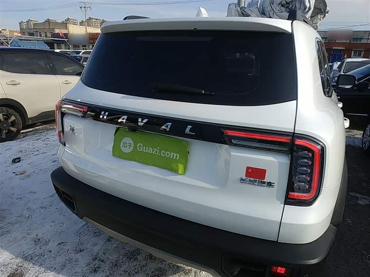 Фото 6 - Haval Dargo