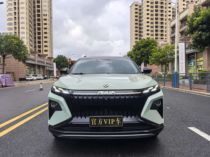 Фото 3 - Dongfeng Aeolus Haoji