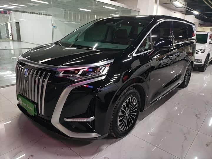 Фото 2 - Denza D9