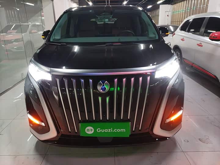 Фото 3 - Denza D9