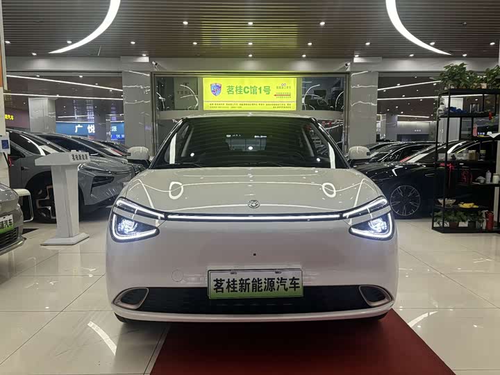 Фото 2 - Dongfeng Nammi 01
