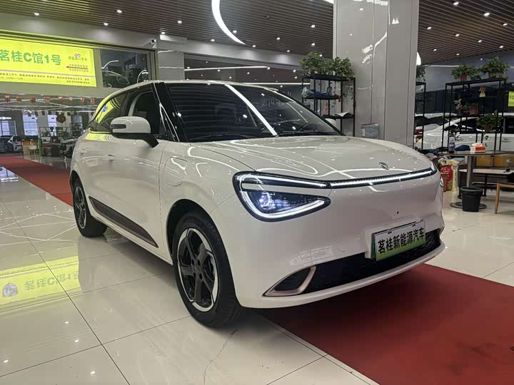 Фото 3 - Dongfeng Nammi 01