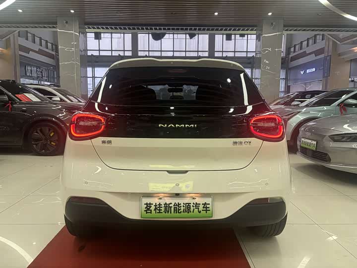 Фото 4 - Dongfeng Nammi 01