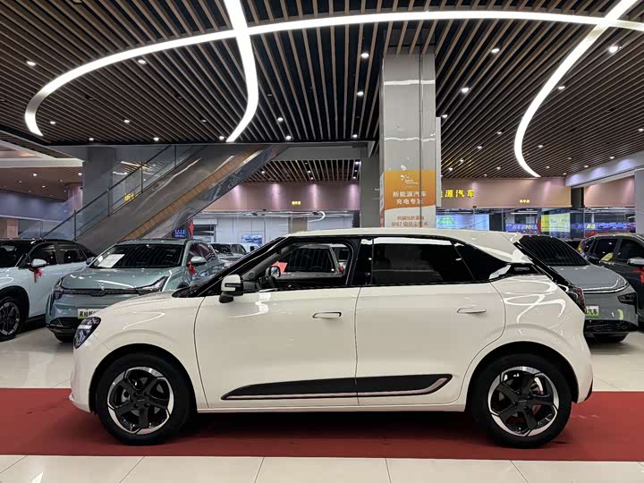 Фото 5 - Dongfeng Nammi 01