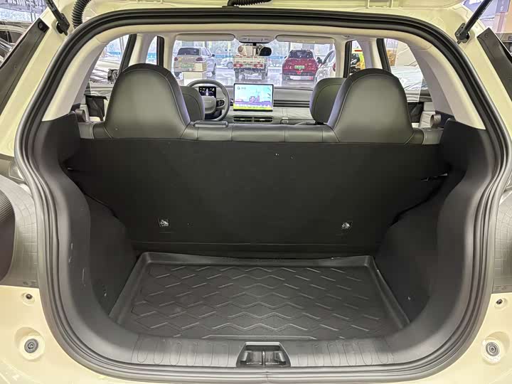 Фото 6 - Dongfeng Nammi 01