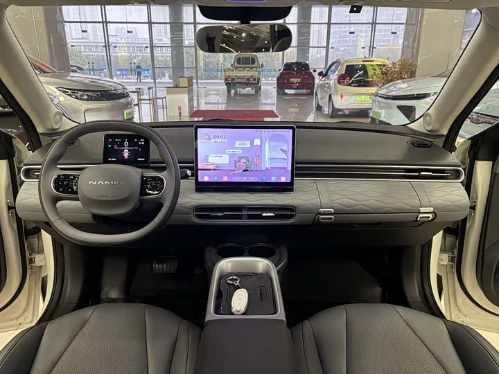 Фото 8 - Dongfeng Nammi 01