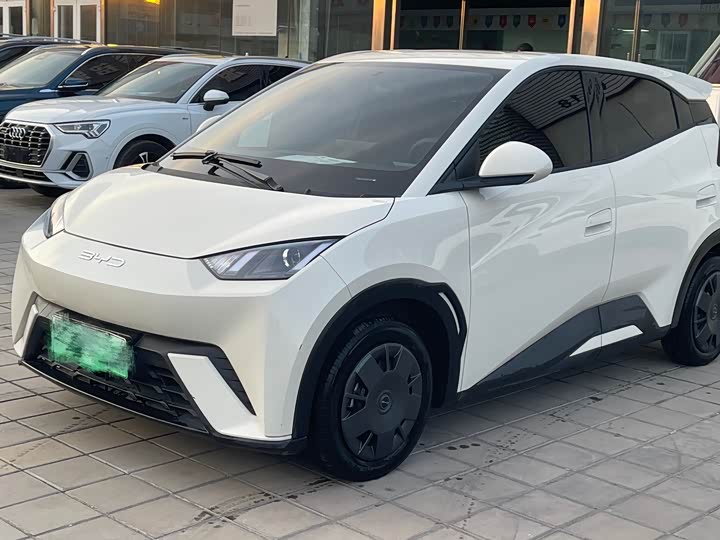 Фото 1 - BYD Seagull