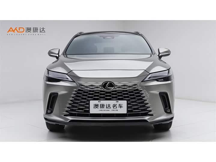 Фото 2 - Lexus RX