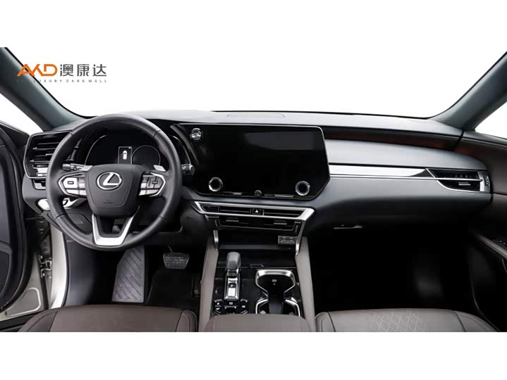 Фото 5 - Lexus RX