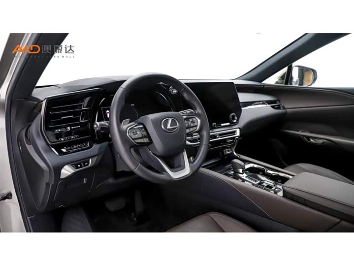 Фото 6 - Lexus RX