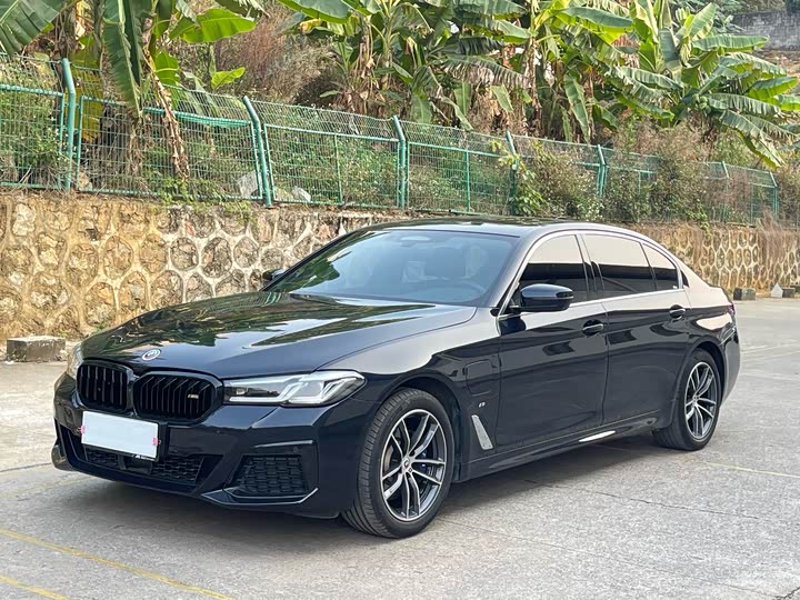 Фото 1 - BMW 5 Series Hybrid